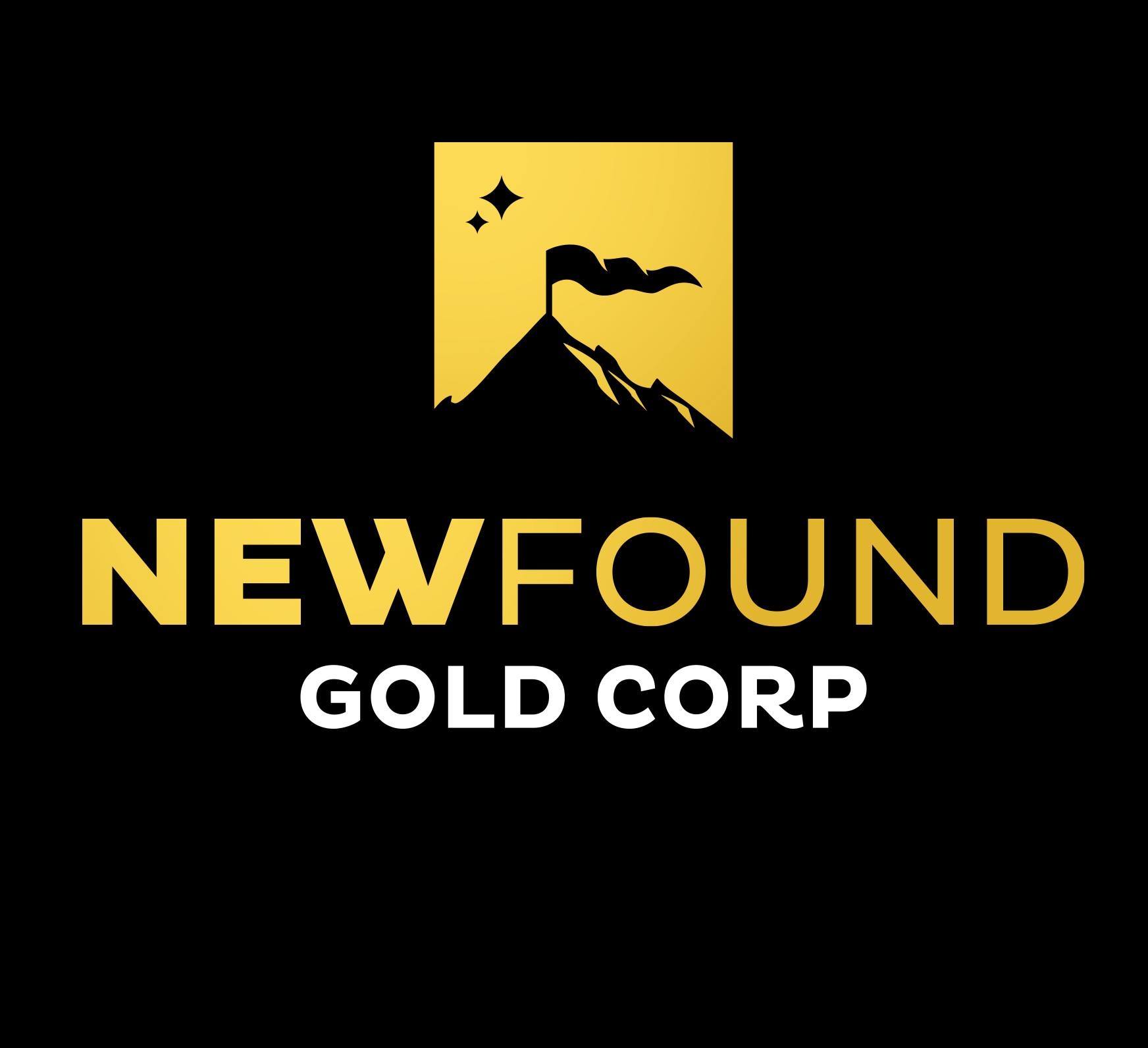 Homepage - New Found Gold Corp.